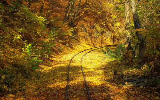 471517 (a): :2560x1600